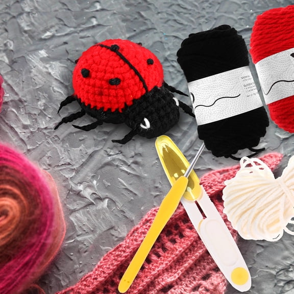 BESTYASH DIY Crochet Kit for Adults Assorted Color Wool Yarn for Crafting