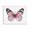 Vintage Pink Monarch Butterfly, variant on Stupell Industries Farmhouse Canvas Art, 20 x 16, by Janet Tava