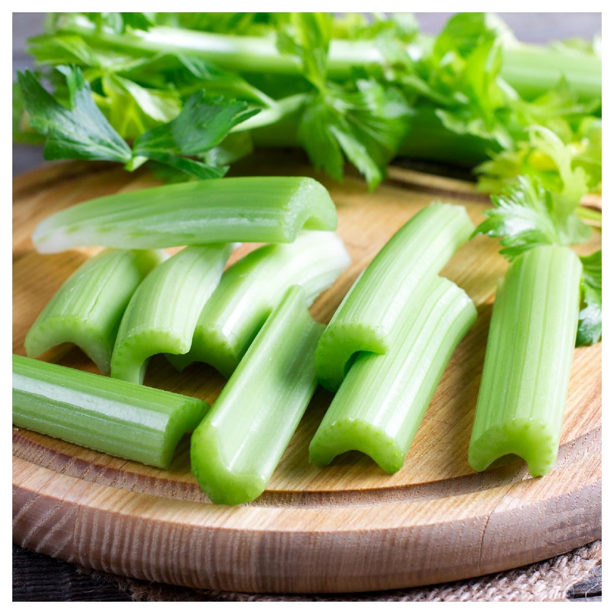 Everwilde Farms - 1/4 lb Tendercrisp Celery Seeds - Gold Vault Bulk Seed Packet