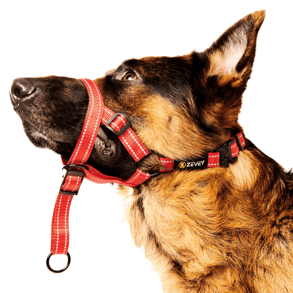 Zevey Adjustable Dog Head Halter with Safety Strap, Soft Padded Dog Head Collar for Small Medium Large Dogs, No-Pull Dog Harness for Training and Walking (X-Large, Red)