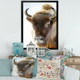 thumbnail image 3 of Designart 'Close UP Of Wild Bison' Farmhouse Framed Art Print, 3 of 4
