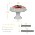 thumbnail image 5 of Ladybugs Fluorescent Drawer Pulls with Screws: Round 4-Pack Glow-in-the-Dark Knobs – Suitable for Cabinets, Wardrobes, Dressers, 5 of 6