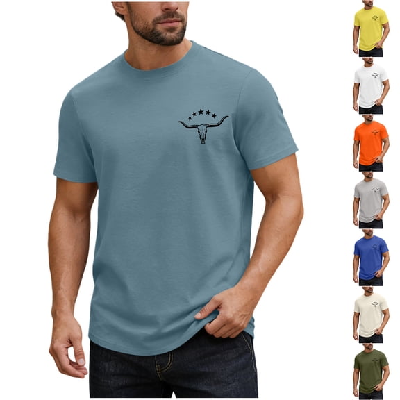Fancifize Men's T-Shirts Short Sleeve Moisture Wicking Shirts Casual Crewneck Lightweight Tee Loose Summer Outdoor Clothes