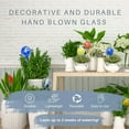 thumbnail image 7 of Imperial Home Self Watering Globes Hand-Blown Glass Plant Watering Devices, 2-Pack, 7 of 7