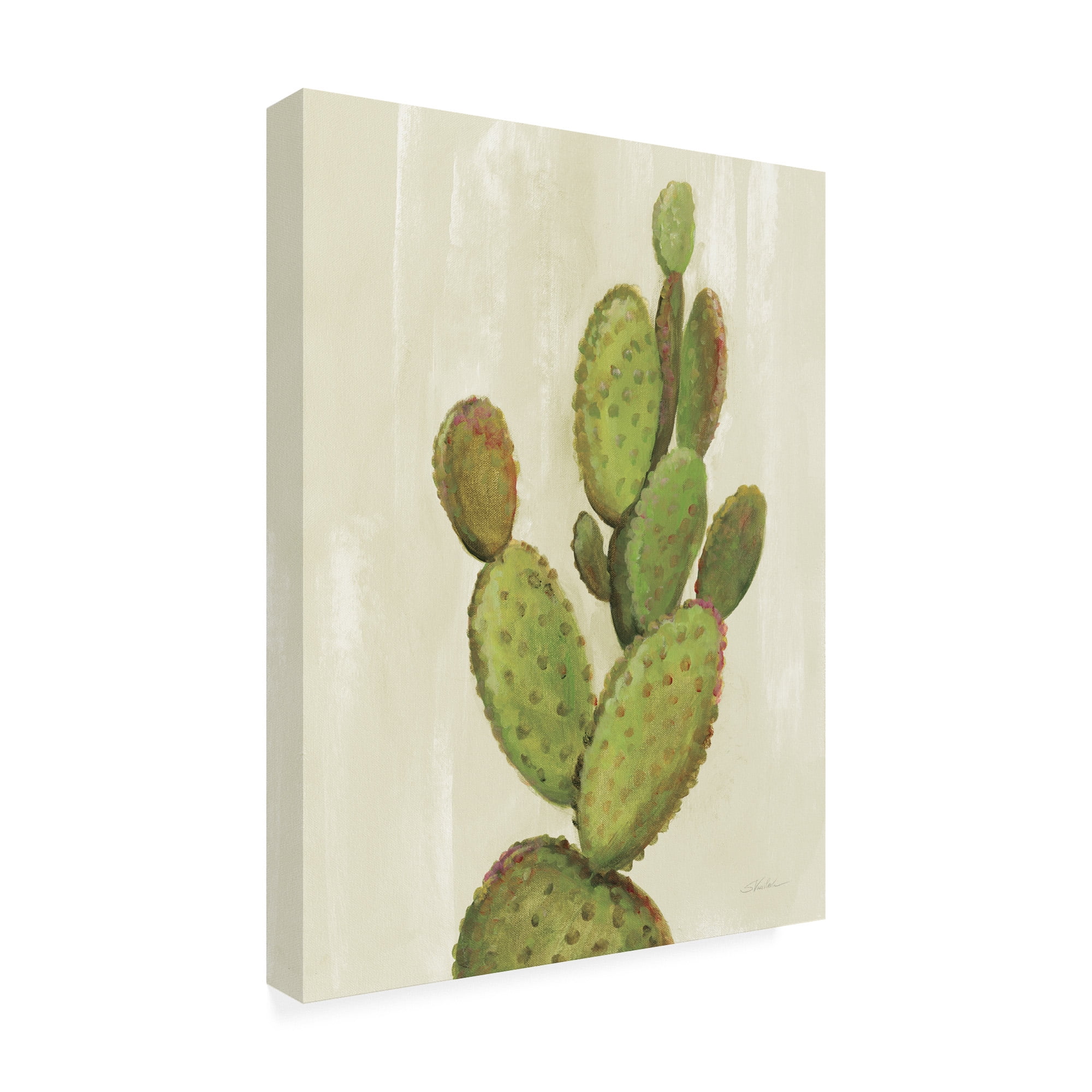 Trademark Fine Art 'Front Yard Cactus I' Canvas Art by Silvia Vassileva