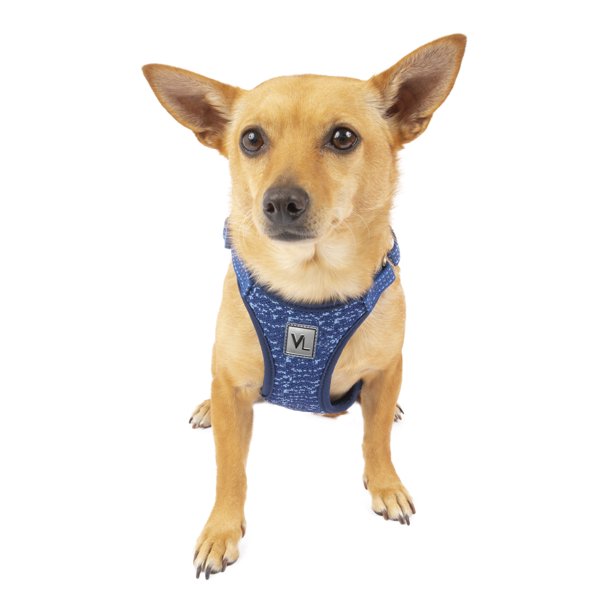 Vibrant Life Flex Knit Dog Harness, Blue, XSmall