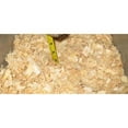 thumbnail image 2 of Pestell Pet Products Easy Clean Small Animals Pine Bedding 20L, 2 of 3