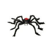 Black Widow Spider Prop 75cm All