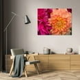 thumbnail image 3 of Maureen Love 44x31 Gallery Wrapped Canvas Wall Art Titled - Fuschia Dalhia V, 3 of 4