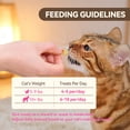 thumbnail image 6 of Puddonio Catnip Biscuit Chicken & Salmon Flavor Cat Treats, 16 oz, 6 of 8