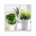 thumbnail image 1 of 50 PCS Durable Replacement Transparent Flower Pot Plate Plant Pot Plate Planter Tray, 1 of 6