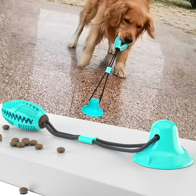 dog suction ball