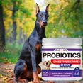 thumbnail image 2 of Probiotiques pour Chiens, Friandises à Mâcher Probiotiques pour Chien Digestion Intestinale 100, 2 of 7