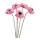 thumbnail image 2 of Ramo de flores secas para jarrón, arreglo floral con plantas secas, elegante accesorio de fotografía, centro de mesa para la decoración del hogar y la Estilo L, 2 of 8