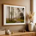 thumbnail image 4 of Fog at Treasure Island Park, Laguna Beach - Laguna Beach California Photography Foggy Palm Tree Tropical Landscape Scenic Coastal Nature Oak Framed Wall Art Print 20 x 30 inches, 4 of 6