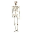 thumbnail image 5 of COSTYLE 5.4Ft/165cm Posable Halloween Skeleton, Full Body Life Size Skeleton with Movable Joints for Indoor Outdoor Halloween Party Props Decoration, 5 of 5