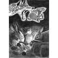 thumbnail image 2 of The Warren - Roleplaying Game, 2 of 2