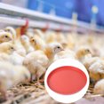 thumbnail image 4 of OULII 2Ud Bandejas De Alimentación Para Pollos Plástico Ecológico Fácil De Limpiar, 4 of 8