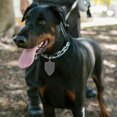 thumbnail image 4 of 2pcs Stainless Steel Dog Tag Blanks Pet ID Name Tag Pendants, 4 of 9