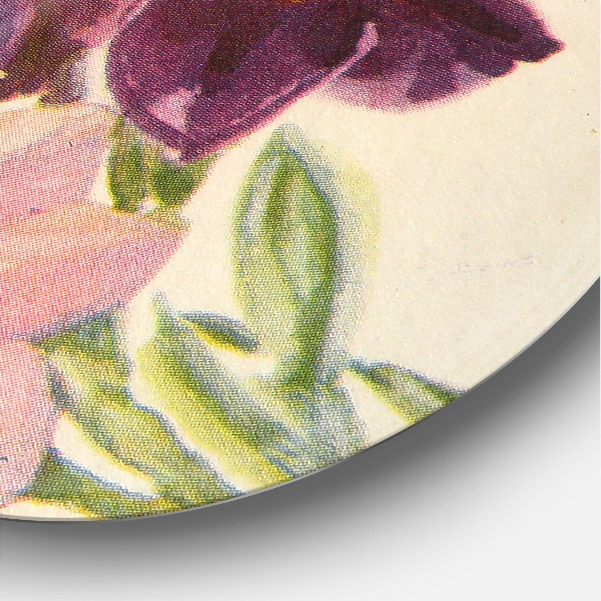 Designart 'Retro Dark and Light Pink Gladiolus' Traditional Circle Metal Wall Art 23x23 - Disc of 23