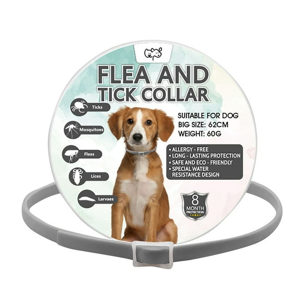¡Campaña con descuento!Collar antipulgas para perros, collar antipulgas y garrapatas para perros, tratamiento contra pulgas y garrapatas para perros de 8 meses, collar impermeable ajustable para