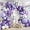 E-purple Balloons -412, variant on 412Pcs Purple Balloon Garland Arch Kit,18 12 10 5 Inch Different Size Lavender Latex Metallic Silver Balloons for Butterfly Birthday Girls Women Wedding Birthday Baby Shower Party Decorations