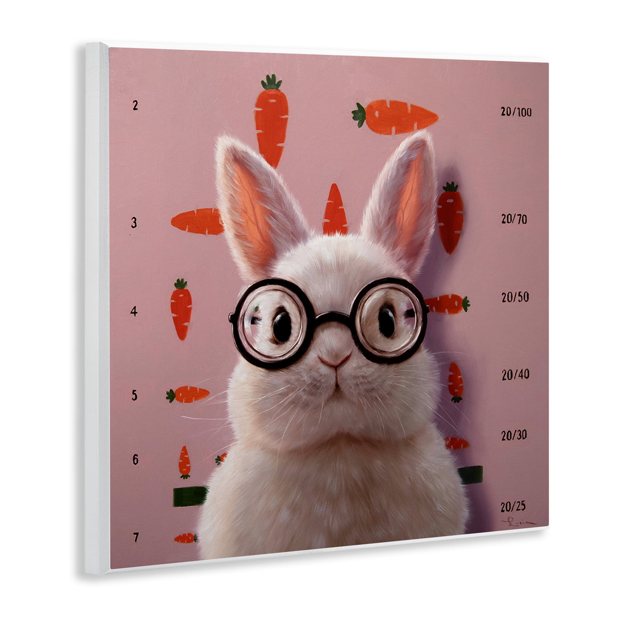 Bunny & Carrots Eye Exam Wall Plaque Art, design by Lucia Heffernan