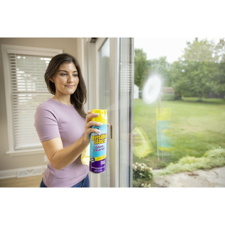 Sprayway Glass and Window Cleaner with Spray Foam Bundle with Idea Home  Premium Microfiber Cleaning Cloth Streak and Lint Free Large 16 x 24 in 