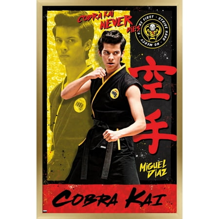 Cobra Kai - Miguel Wall Poster, 14.725" x 22.375", Framed
