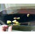 thumbnail image 4 of FitFabHome 3 Pack Large Non-Stick Oven Liners Certified BPA and PFOA Free FitFabHome NA, 4 of 6