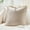 Beige, variant on Janrevotw 2pcs Pillow Set Sofa Pillow Net Red Ins Style Small Fresh Cushion Pillow Set Office Living Room Sofa Cushion Set
