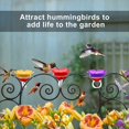 thumbnail image 5 of Alimentador de anillos para colibríes (rojo) - Alimente manualmente a los colibríes en su jardín. Acércate a la naturaleza. JAMW Sencillez, 5 of 5