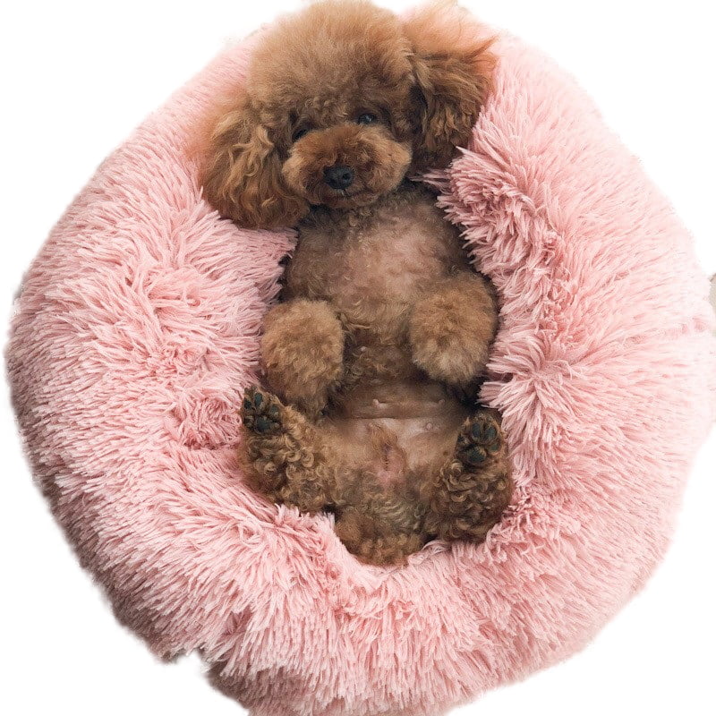 ZYT Fluffy Donut Cuddler Pet Bed Machine Washable Long Plush Soft Round Mats Cat and Dog Calming Indoor Cushion Bed with Non-Slip Bottom 
