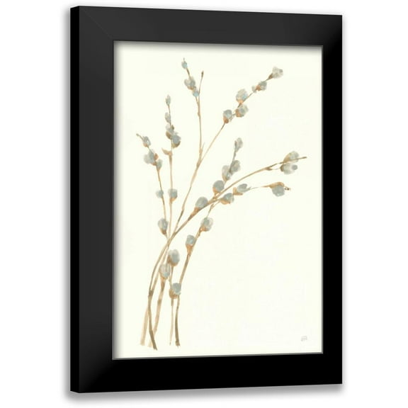 Paschke, Chris 11x14 Black Modern Framed Museum Art Print Titled - Pussy Willows II