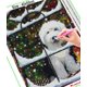 thumbnail image 3 of HOMFUN-pintura de diamante artesanal "Papá Noel de Navidad", bordado de diamantes de imitación cuadrados y redondos, estilo punto de cruz 5D, decoración del hogar, 3 of 4