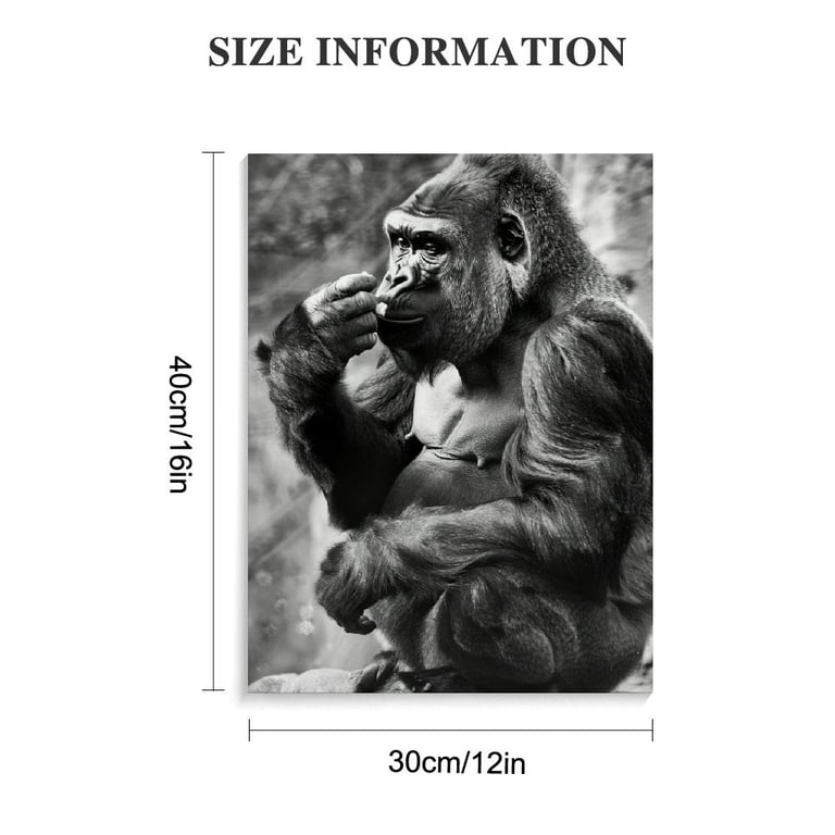JEUXUS Gorilla Gives The Poster Prints Funny Animal Monkey Canvas