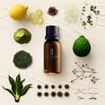 thumbnail image 2 of Brilliant Scents - Daydream | Inspired by Relâche Spa at Gaylord Hotels | Luxury Home & Business Scent | Agave Nectar, Black Tea, Matcha Extract - Fragrance Oil - 120ml, 2 of 2