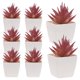 thumbnail image 1 of TEHAUX 10Ud Adornos Decorativos De Suculentas Y Cactus Artificiales Para Hogar Y Oficina, 1 of 6