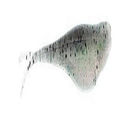 UPC: 0897744005268 | Z-MAN FISHING PRODUCTS ZMAN 5 JERK SHADZ 5PK THE DEAL SJS5-320PK5