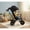 Black, variant on Topcobe 4-in-1 Baby Trike Kids Tricycle with Removable Canopy and Adjustable Push Handle, Toddler Stroller, Baby Wagon-Pink