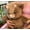Highland Cow Brown, variant on Running Plushies for Kids Adults, 18" Running Animals Panda with Interactive Moving Legs for Stress Relief, Soft Stuffed Toy for Christmas Birthday Gifts