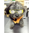 thumbnail image 3 of Dog Goggles, Eye Protection (New Version) for Small Dog Sunglasses Waterproof Windproof UV Protection for Doggy Puppy Cats (Yellow), 3 of 7