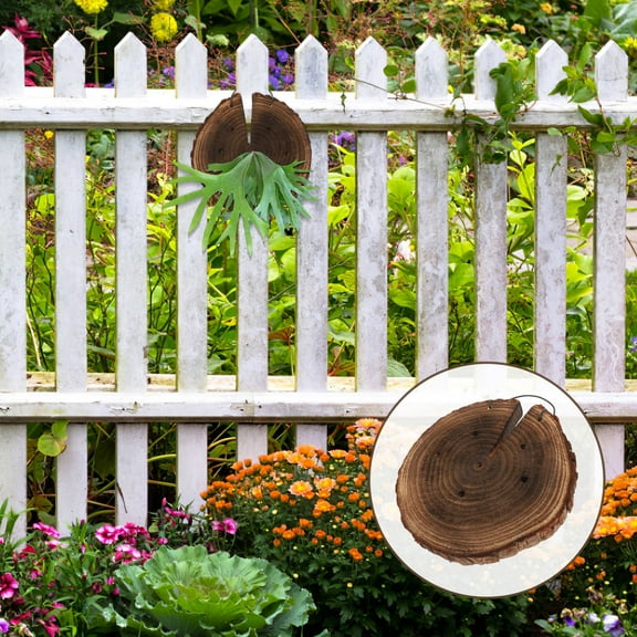 FOLOYORI Stylish Wall Hanging Holder Wood Wall Planter Home Decor For Room Rustic Decor Staghorn Fern Board