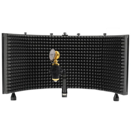 Pro Co Ameriquad Microphone Cable - Rockville RCM02 Pro Studio Recording Condenser Microphone Mic+Shock Mount+Shield