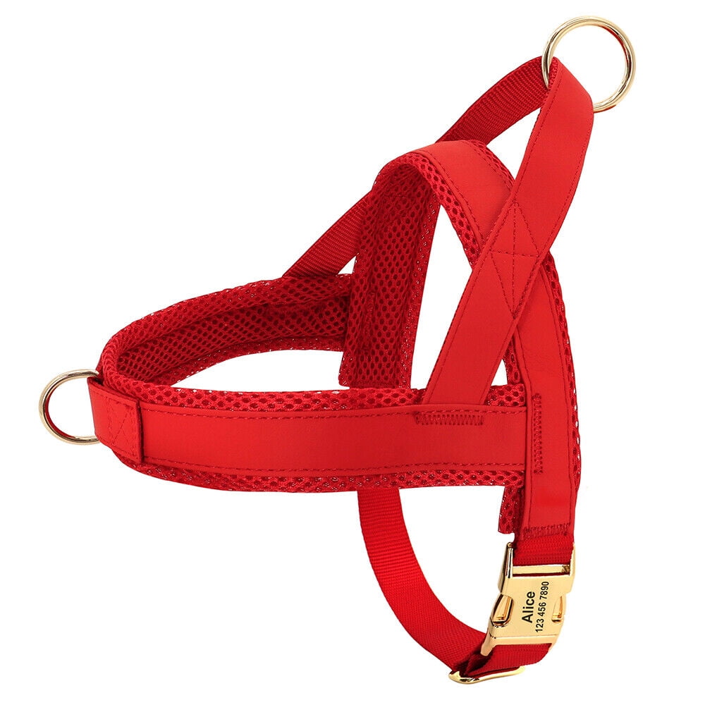 Didog No Pull Dog Harness Personalized Name Buckle Engraved Breathable Mesh Red Blue