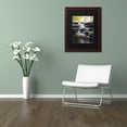 thumbnail image 3 of Trademark Fine Art "Waterfall at Lake View" Canvas Art by Kurt Shaffer, Black Matte, Wood Frame, 3 of 4