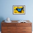thumbnail image 5 of Australian Mountain Blue Swallowtail Butterfly on sunflower, Animals Botanical Framed Art Print Wall Art by Darrell Gulin Sold by Art.Com, 5 of 6