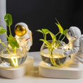 thumbnail image 4 of Jarrón de vidrio astronauta con maceta de astronauta con LED Maceta nórdica moderna con luz para suculentas, 4 of 5