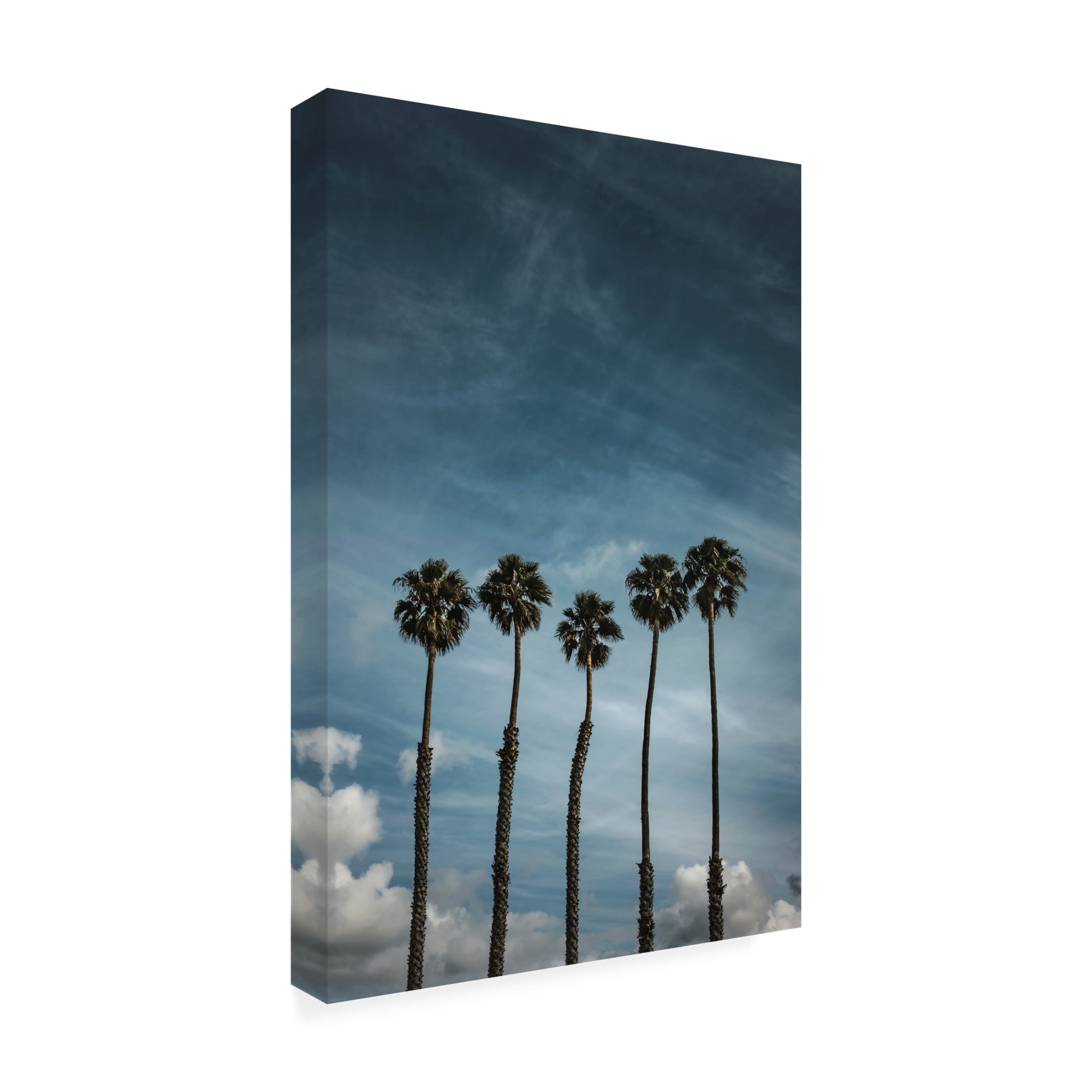 Trademark Fine Art Tim Mossholder Five Palms Canvas Wall Art