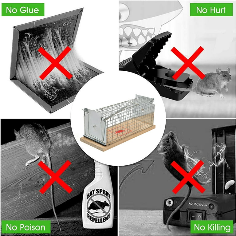 The Best Kid-Safe and Pet-Friendly Mousetraps - Dengarden